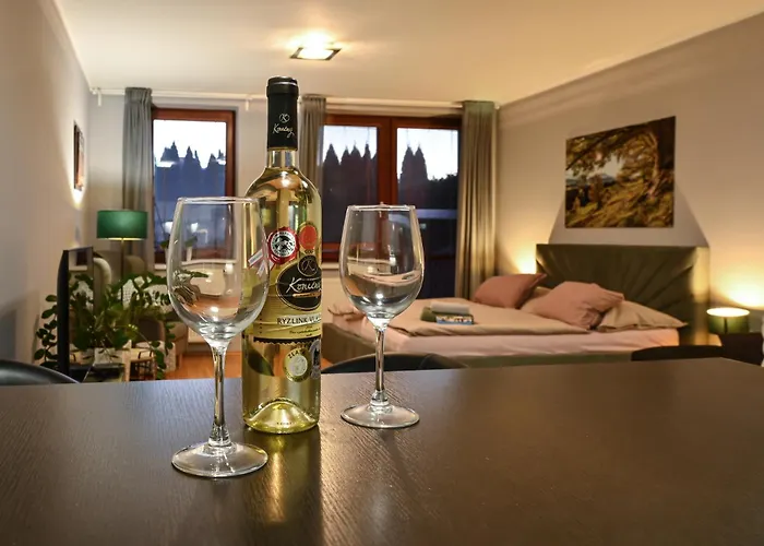Apartment Celadna דירה Čeladná